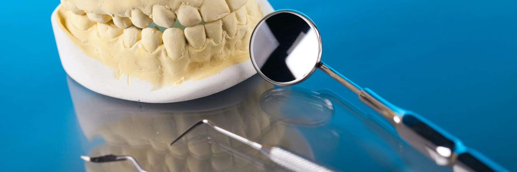 A model of dental crowns in Colorado Springs, CO